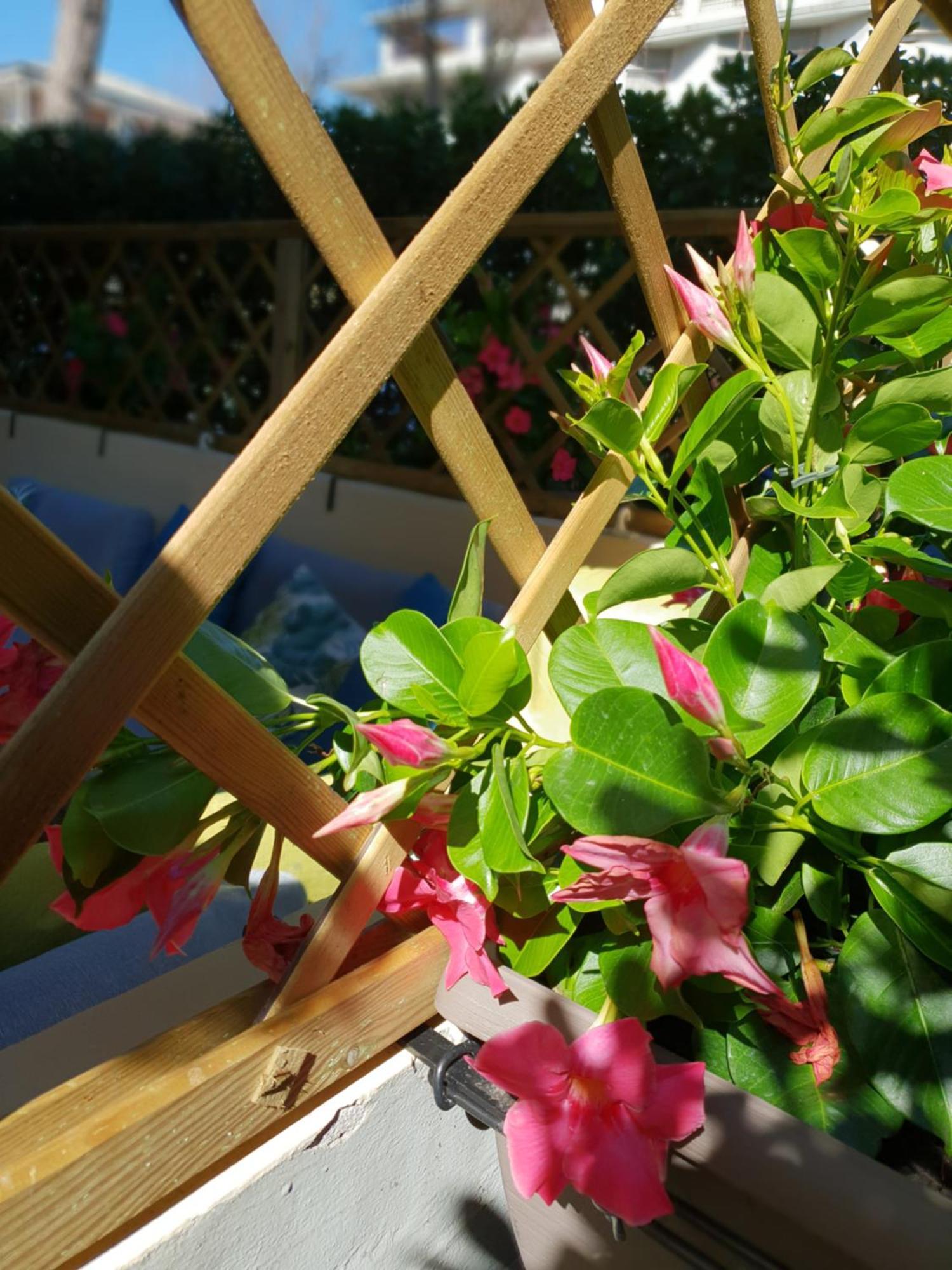 Apartment Versilia Forte dei Marmi